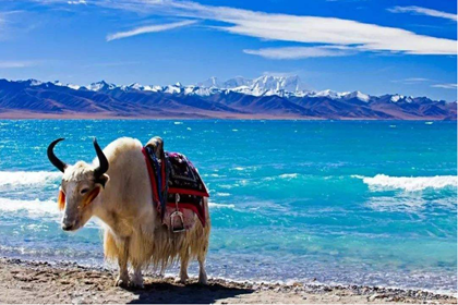 9 Days Lhasa-Yamdrok Lake-Shigatse-Mt Everest-Namtso Lake Tour