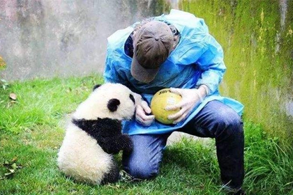 Panda with Keeper