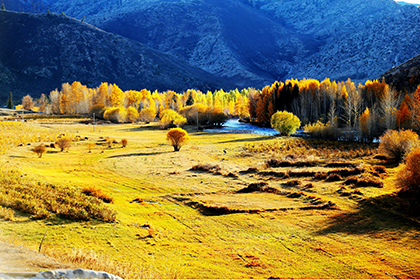 14 Days Northern Xinjiang Panoramic View Tour