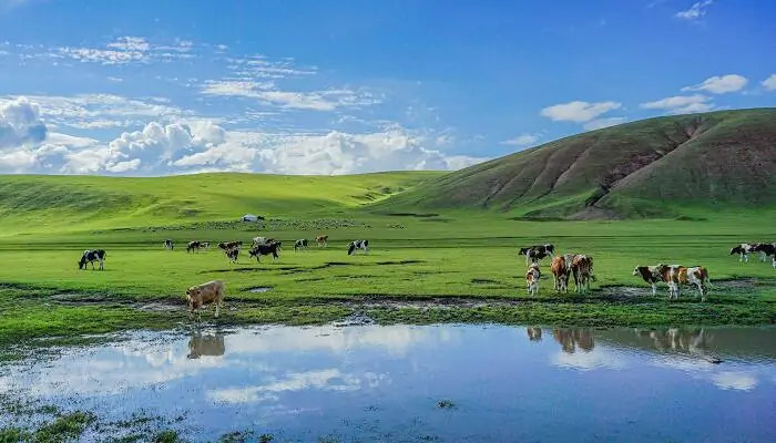 inner mongolia travel 