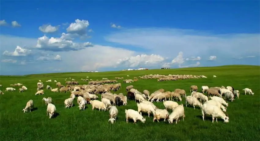 inner mongolia travel 