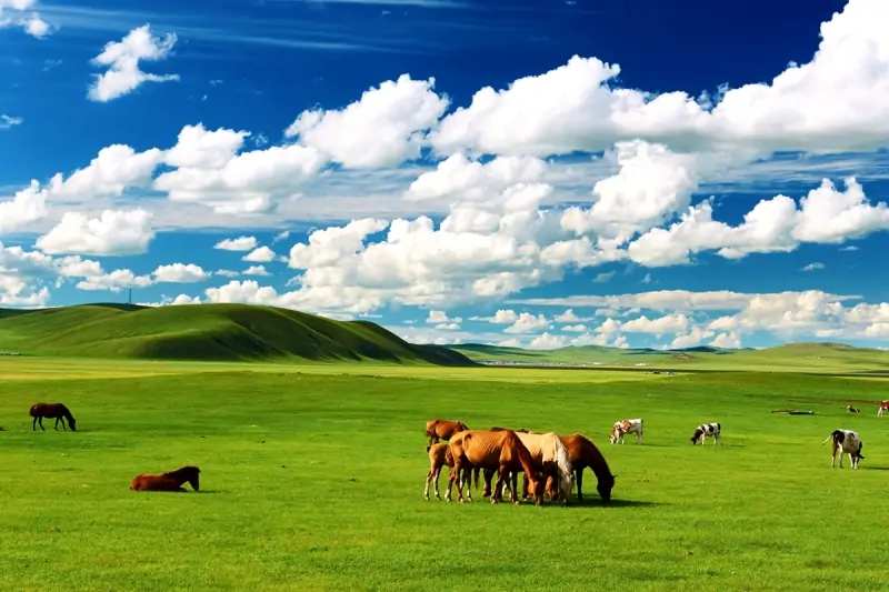 Inner Mongolia trip