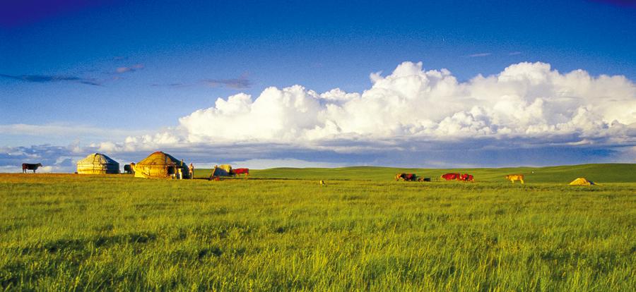 The Scenic Xilamuren Grassland