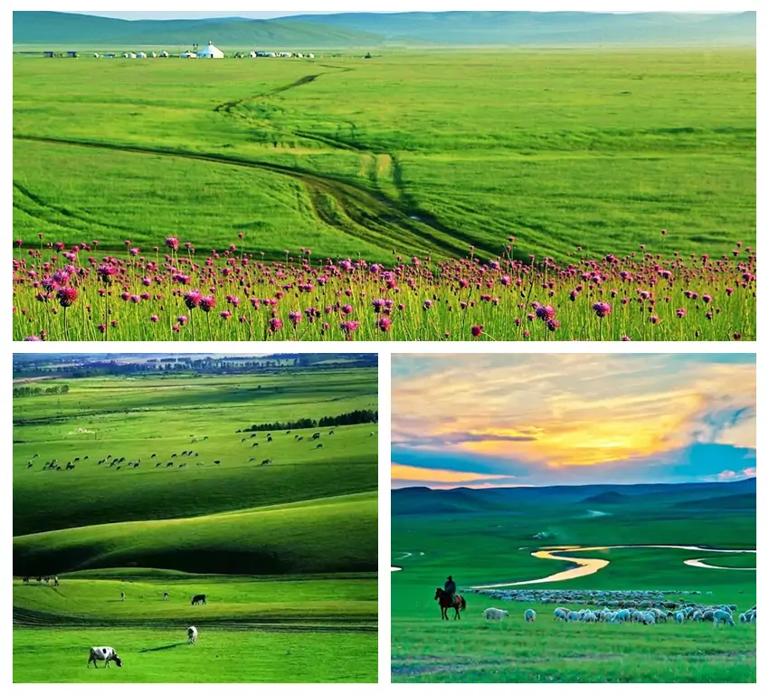 hulunbuir grasslands mongolia2