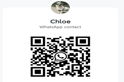 WhatsApp account.webp