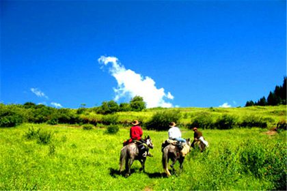 Songpan Horse Trekking
