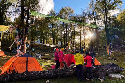 Camping at Primary Forest